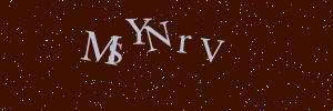 Validation image